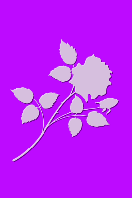 Flower Pink, par Xavier E. G. Dierick